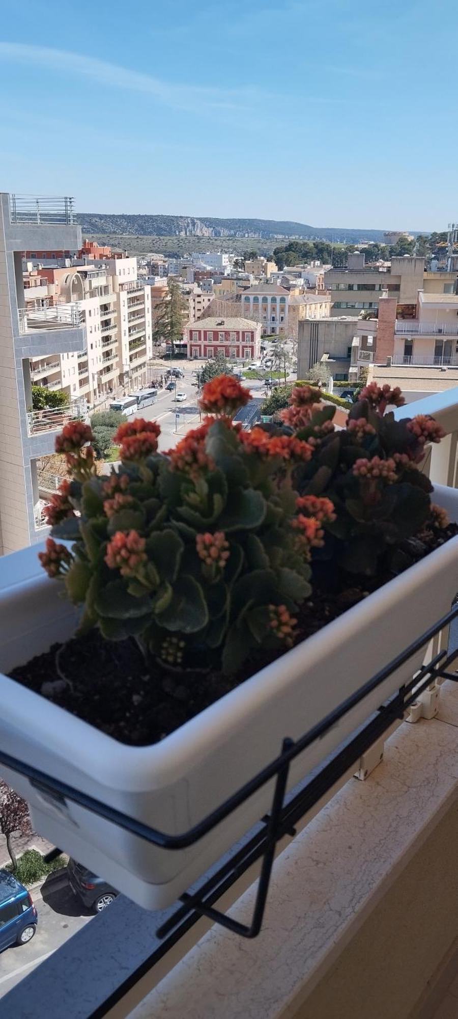 My Home Matera Zewnętrze zdjęcie